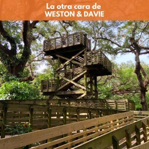 La Otra Cara de Weston y Davie