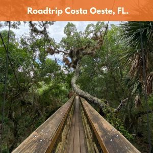 Coming Soon: Roadtrip Costa Oeste: Tesoros Ocultos