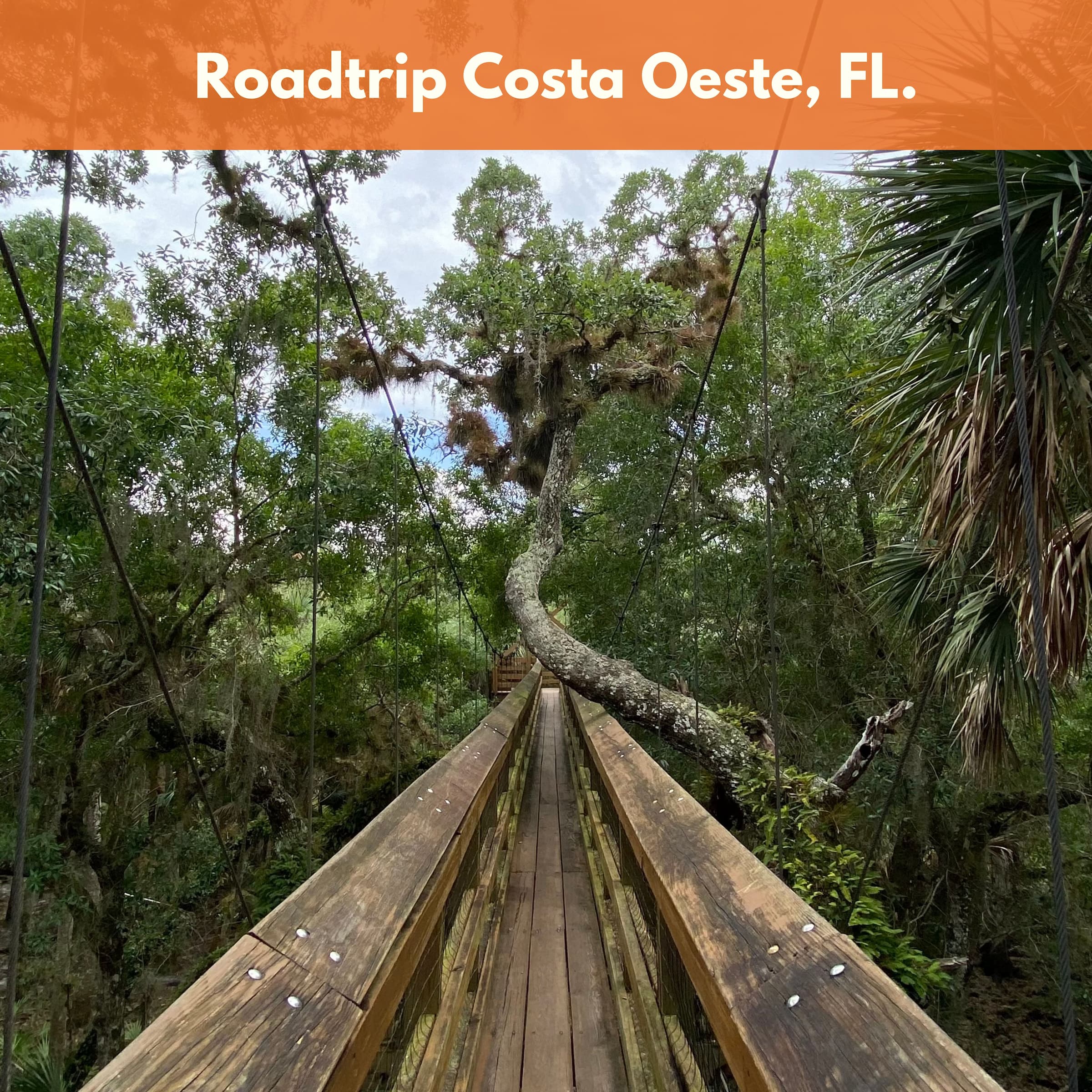 Coming Soon: Roadtrip Costa Oeste: Tesoros Ocultos