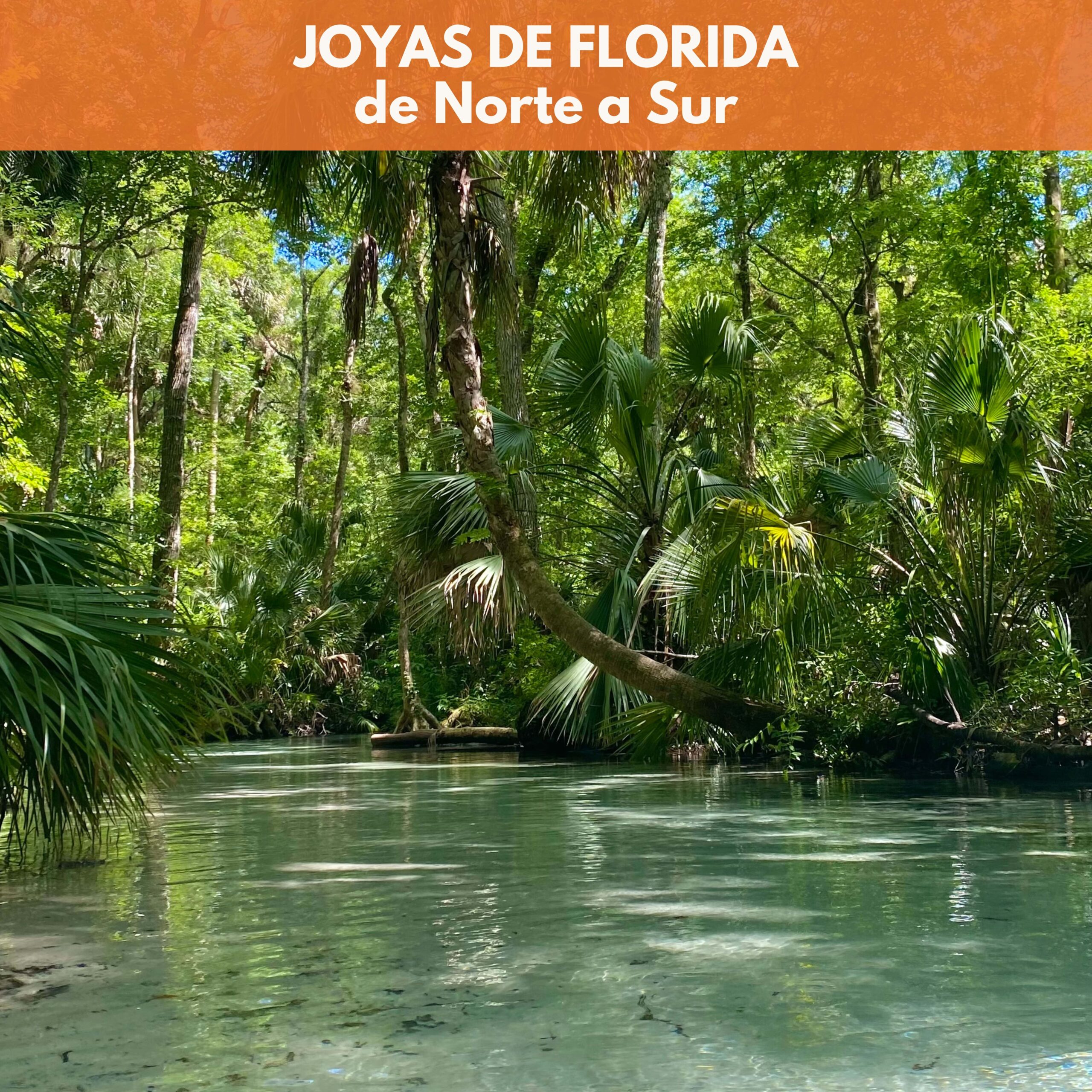 Joyas de Florida de Norte a Sur
